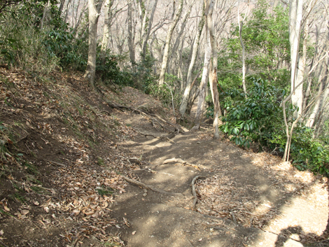 20180223hike (27)